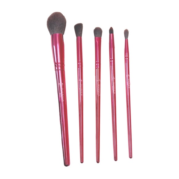 SHAINA B || Miami Fab - 5 Piece Essential Brush Set in Metallic Pink 💗NIB💗 - Picture 3 of 8